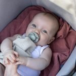 Pack 2 Chupetes De Lux Bibs - Imagen 8