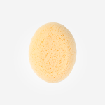 Esponja Hidrófila Saro