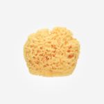 Esponja Natural Saro