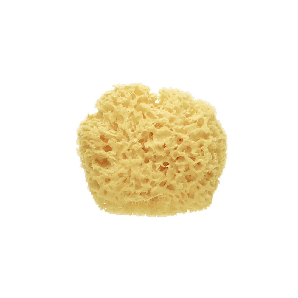 Esponja Natural Premium Saro